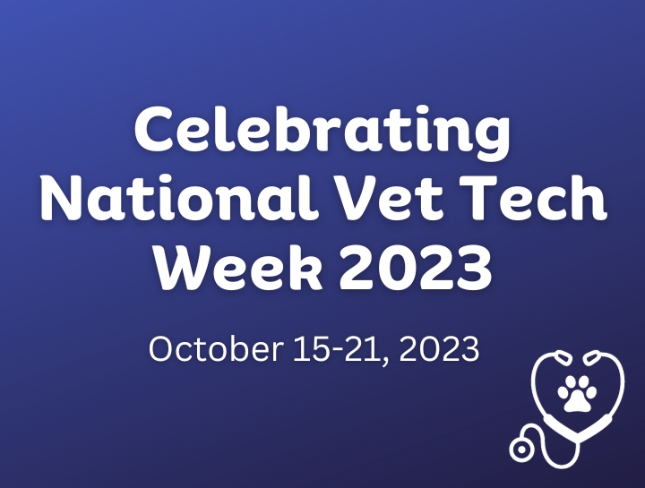 National Veterinary Technician Week Meadow Pond Animal Hospital